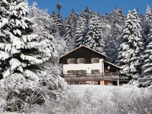 une maison au milieu d'une forêt enneigée dans l'établissement LE CHALET VOSGIEN bain nordique Kota Grill, à Gérardmer