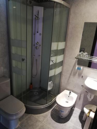 a bathroom with a shower and a toilet and a sink at Alojamientos ALBOR I in Gijón