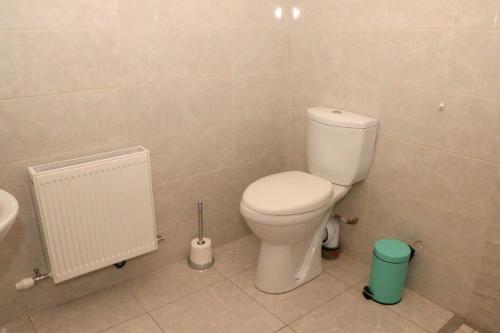 a bathroom with a toilet and a sink at Emy Lake Studio in Monaghan