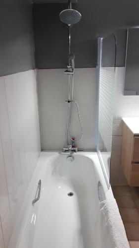 a bath tub in a bathroom with a shower at Appartement au pied des 3 Vallées in Moutiers