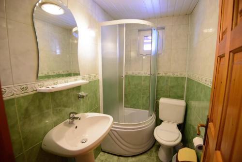 een badkamer met een wastafel, een toilet en een douche bij Pensiunea Malina in Moieciu de Sus