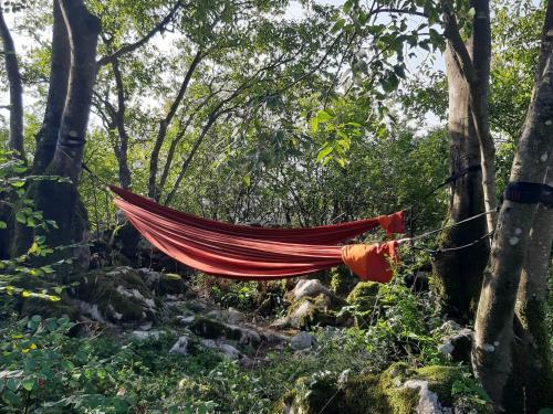 a hammock hanging from a tree in a forest at Hoopoe Glamping in Virpazar