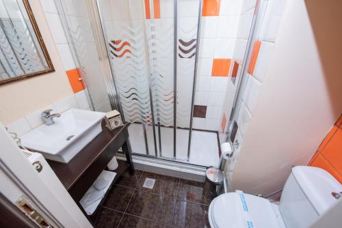 a bathroom with a shower and a toilet and a sink at Archontiko Argyro in Makrinítsa