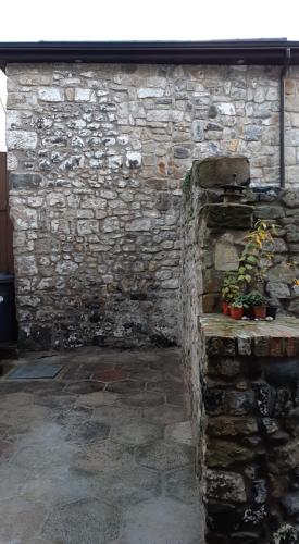 a stone wall with two potted plants on it at The Stonehouse, in the heart of Ballycastle in Ballycastle
