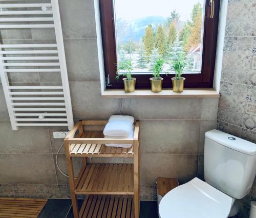 a bathroom with a toilet and a window with potted plants at Domek na górze -Odetchnij od miasta w Istebnej in Istebna