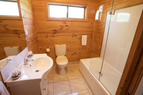 a bathroom with a toilet and a sink and a shower at Beauty Point Tourist Park in Beauty Point