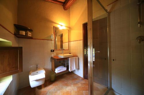 uma casa de banho com um WC, um lavatório e um chuveiro em Molino Di Foci em San Gimignano