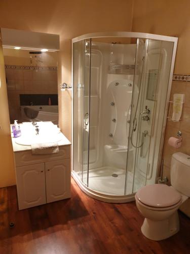 a bathroom with a shower and a toilet and a sink at B&B Mirage in Frécourt