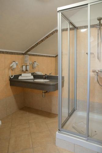 a bathroom with a shower and a sink at Pałac Bielawa in Bielawa