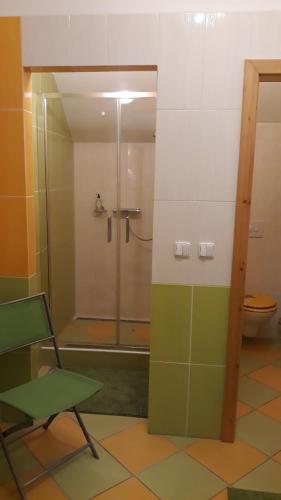 庫特納霍拉的住宿－Penzion U Kováře，带淋浴和绿色椅子的浴室