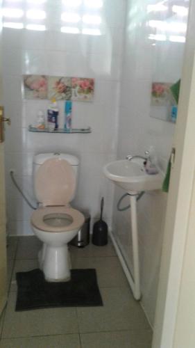 a bathroom with a toilet and a sink at Huize Henriette in Paramaribo