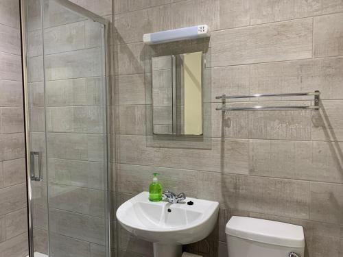 a bathroom with a toilet and a sink and a shower at Southernwood - Wantage Road Studio 1 in Didcot