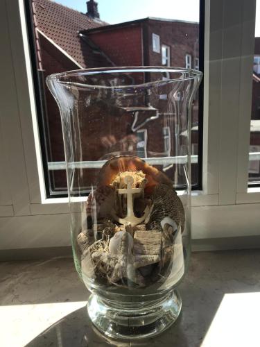 a glass vase filled with shells in a window at Inselresidenz Strandburg Apartment 209 in Juist