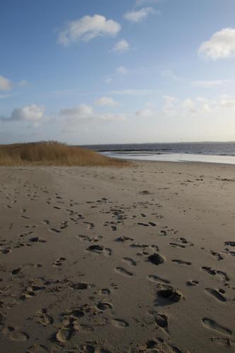 a group of footprints in the sand on a beach at Ferienwohnung Monteurwohnung DeichBrandt in Sankt Margarethen