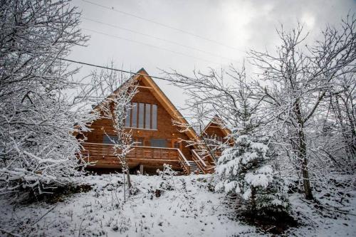 a log cabin in the snow with trees at Kedra Village in Kédra