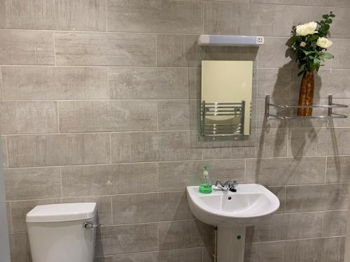 a bathroom with a sink and a toilet and a mirror at Southernwood - Wantage Road Studio 2 in Didcot