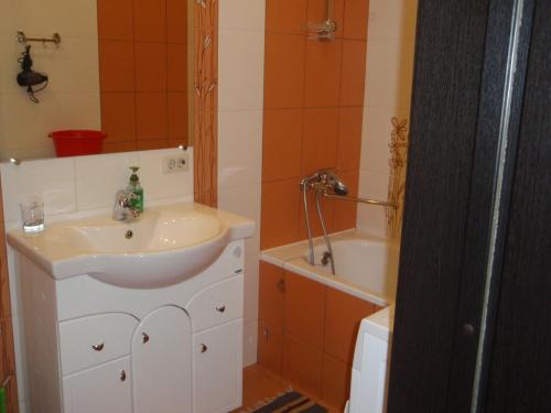 Et badeværelse på Apartment on Pyatnitskaya 56