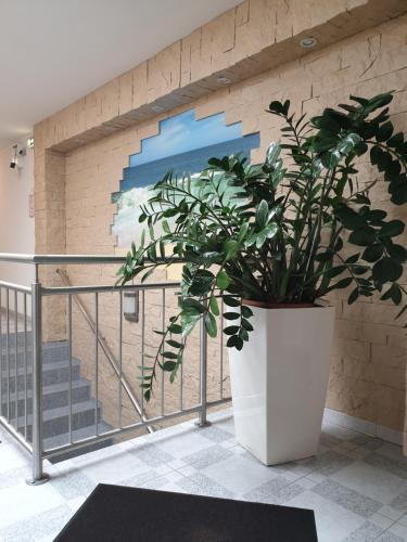 a potted plant in front of a wall with a mural at Zimmer for you in Rösrath
