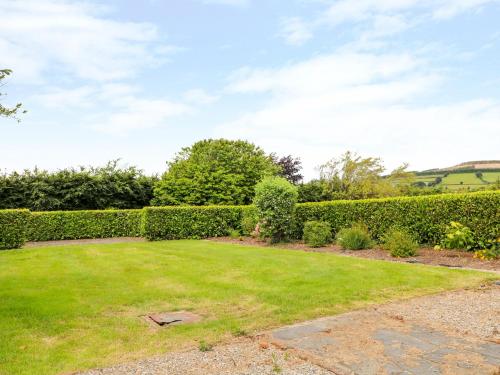a garden with hedges and a large lawn at The Lodge at Raheengraney House in Cluain na nGall