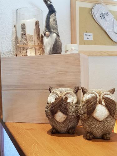 two owls sitting on top of a shelf at Hotel Europa Guest House in Saas-Fee