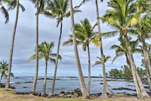 a group of palm trees on the beach at Hilo Oasis - 32 Mi to Volcanoes National Park! in Hilo