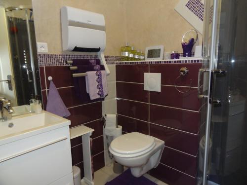 een kleine badkamer met een toilet en een wastafel bij La Roseraie résidence près de Vichy in Charmeil