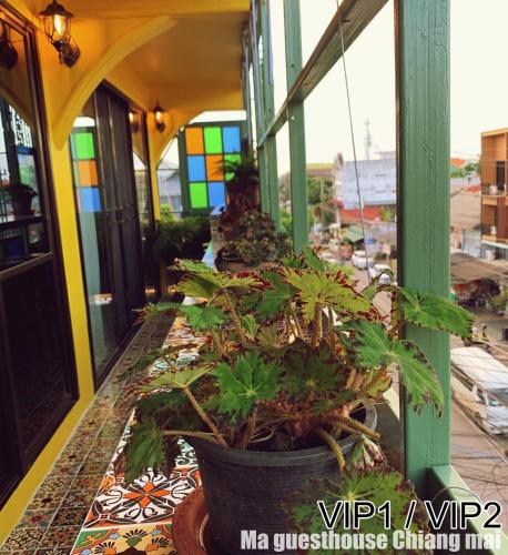 a balcony with potted plants on a table at Ma Guesthouse Chiang Mai in Chiang Mai