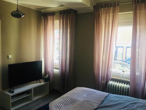 a bedroom with a bed and a television and a window at Villa Rosa Bad Camberg in Bad Camberg