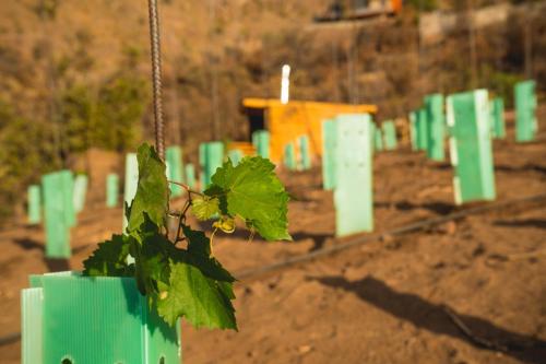 a plant in a pot hanging from a chain at Origen del Maipo Lodge in San José de Maipo