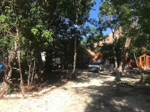 a truck parked in the shade of trees at Tulum Nueve in Tulum