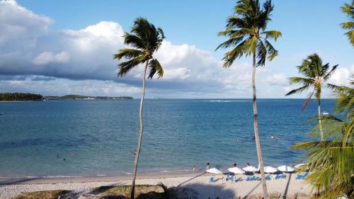 uma praia com palmeiras e pessoas na água em Sítio Praia dos Carneiros em Praia dos Carneiros