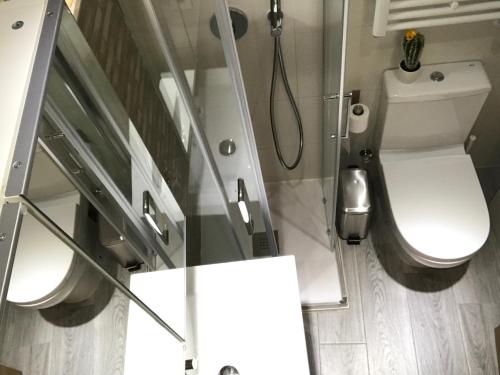 La petite salle de bains est pourvue d'une douche et de toilettes. dans l'établissement MODERNO NUEVO Luminoso WI-FI PLAZA DEL PILAR 2, à Saragosse