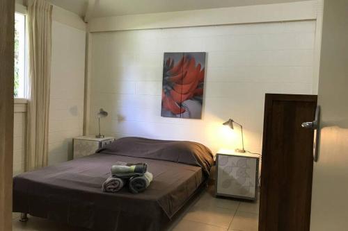 1 dormitorio con 1 cama y una pintura en la pared en Villa Le Capitaine à 30 mètres du lagon, en La Saline-Les-Bains