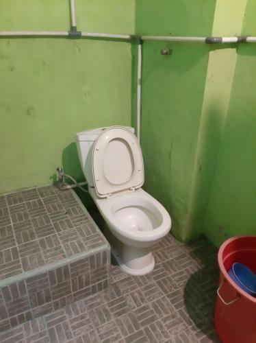 a bathroom with a toilet in a green wall at Beach Guest House in Maninjau