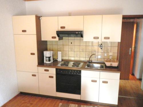 Η κουζίνα ή μικρή κουζίνα στο Ferienwohnung Waldoase am Fuchsenstein