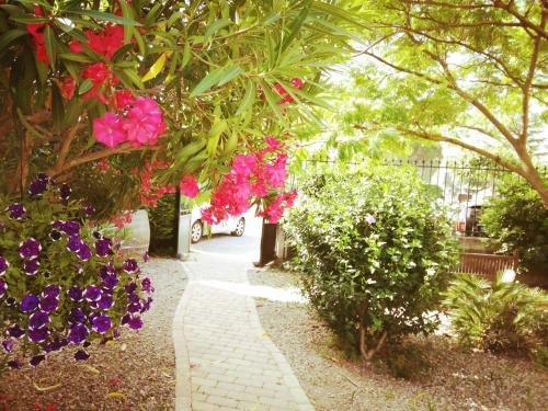 a garden with pink and purple flowers and a sidewalk at La Maison des Palmiers in Homps