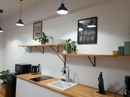 a kitchen with a sink and shelves on the wall at PanCake Apartament Piotrkowska free parking in Łódź