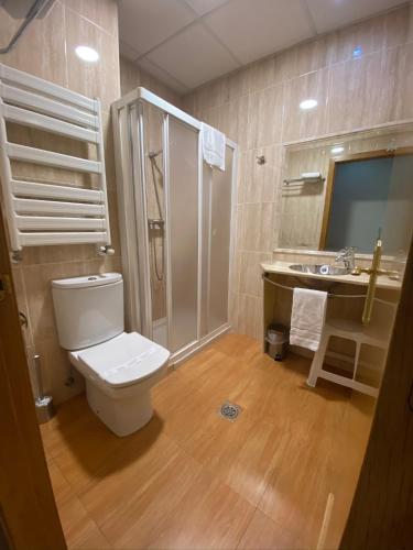 a bathroom with a toilet and a shower and a sink at Hotel Alda Centro Oviedo in Oviedo