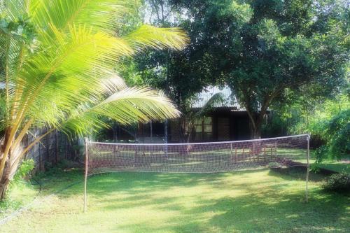 a fence in front of a yard with a house at Green Cottage in Anuradhapura