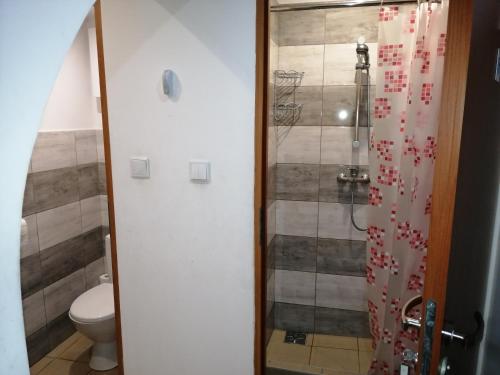 Ένα μπάνιο στο Hostel Gliwice Centrum PARKING