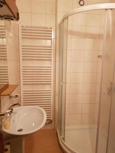 y baño con lavabo y ducha. en Apartments Gregorc en Bled