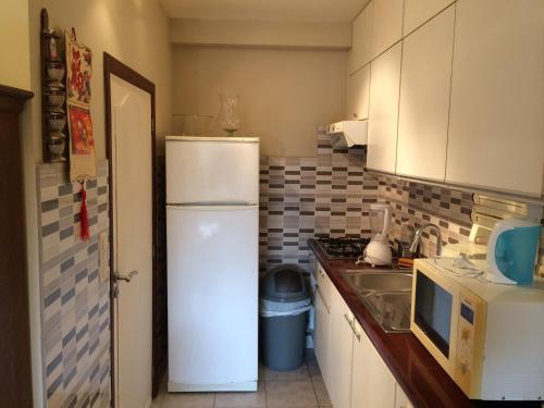a kitchen with a white refrigerator and a microwave at Appartements Brussel in Brussels