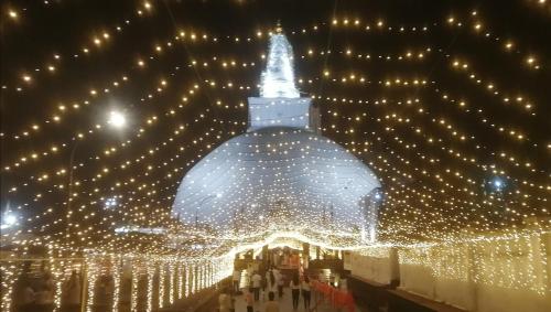 a building covered in lights with a christmas tree at Green Cottage in Anuradhapura