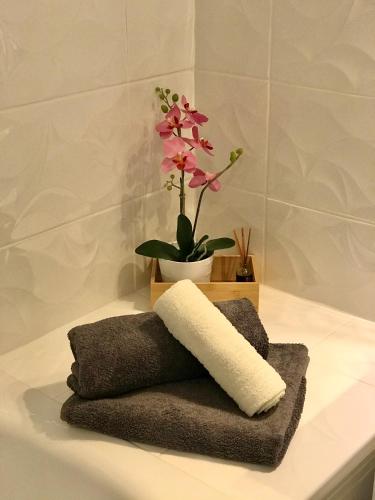 La salle de bains est pourvue d'une serviette et d'une plante en pot. dans l'établissement Swann Disney Appartement, à Montévrain