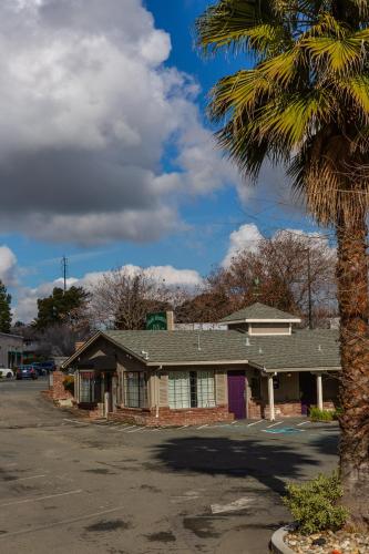 a house with a palm tree in front of it at Diablo Mountain Inn Walnut Creek in Walnut Creek