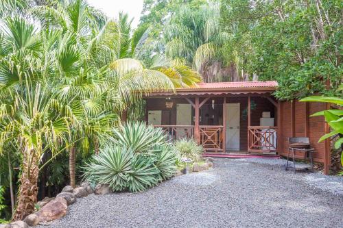 a small house with a porch and palm trees at L'Îlot Palmiers in Pointe-Noire