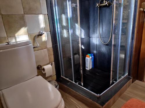 La salle de bains est pourvue d'une douche et de toilettes blanches. dans l'établissement Casa em Xisto na Serra da Lousã, Gondramaz, à Gondramaz