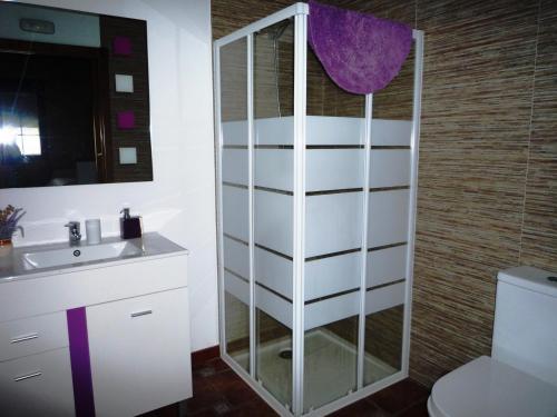 y baño con ducha, lavabo y aseo. en Casa da Gándara Apartamento en Boimorto