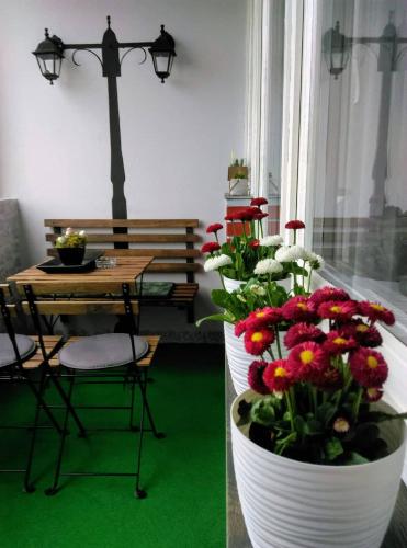 Galería fotográfica de Studio Apartman Ždral en Daruvar