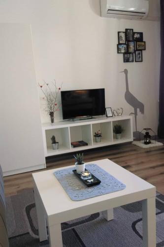 Una televisión o centro de entretenimiento en Studio Apartman Ždral